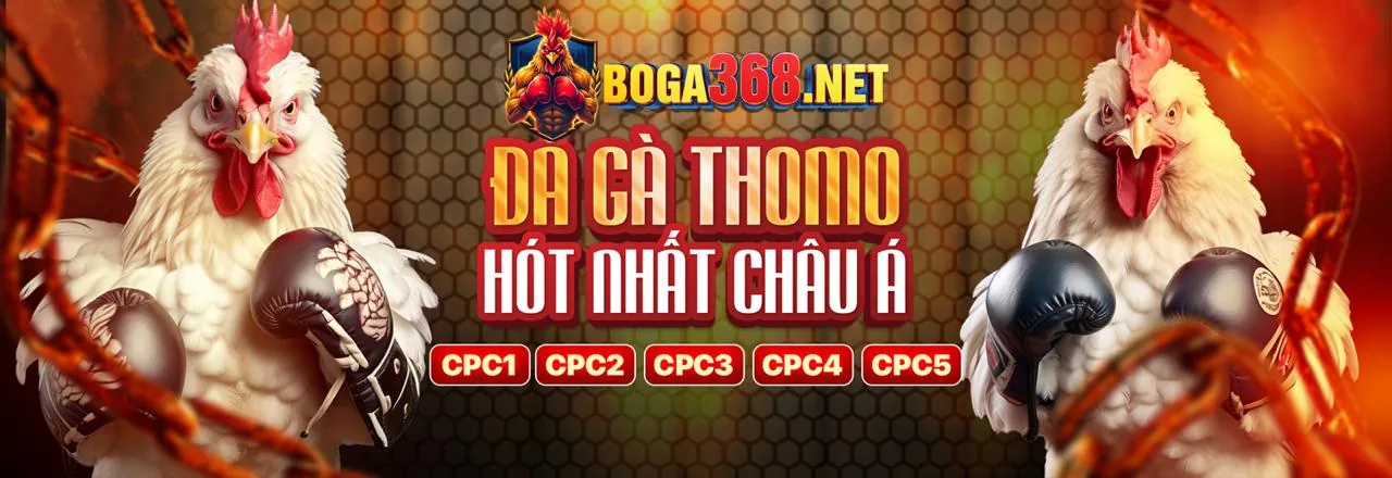 Ứng dụng Boss55 trên điện thoại thông minh với giao diện cá cược thể thao